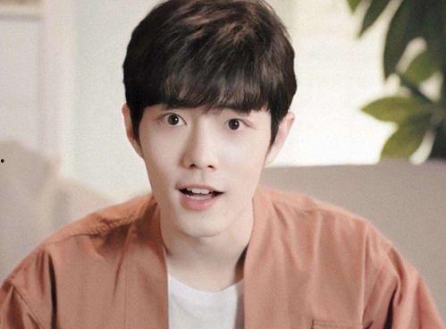 肖战最新物料爆料,魅力四溢，演绎角色新篇章